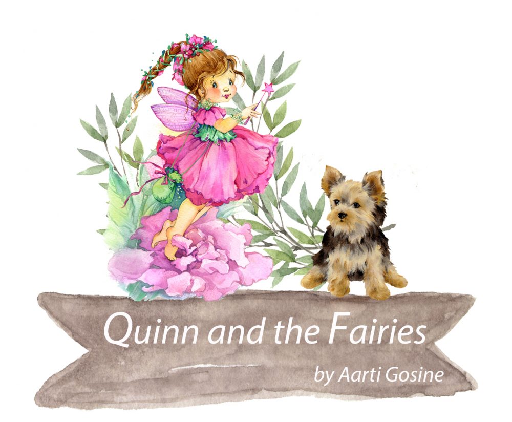 Quinn and the Fairies